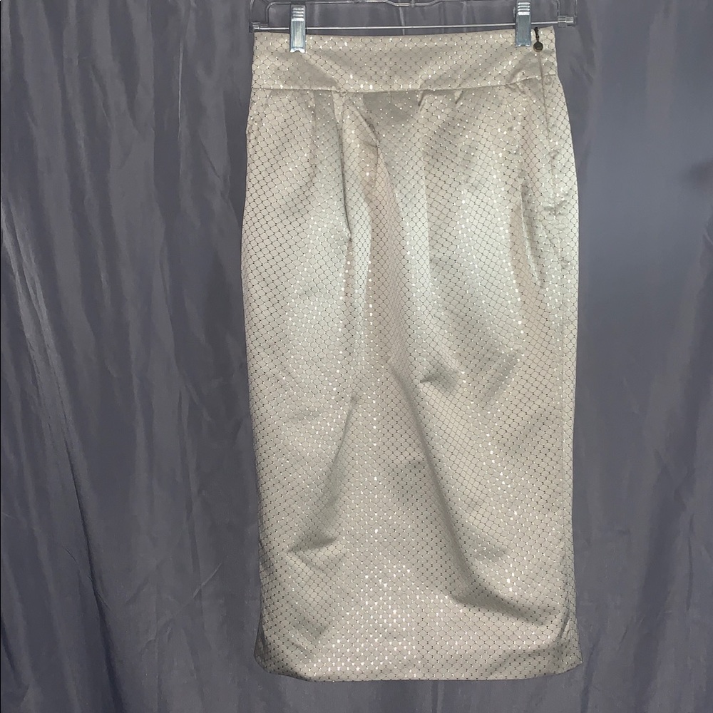 *Just Cavalli Roberto Cavalli* Silver/Champagne Gorgeous Pencil Skirt